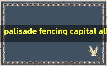  palisade fencing capital allowances